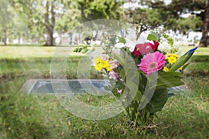 Flowers in Cemetery