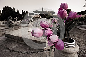 Flowers in the cemetery