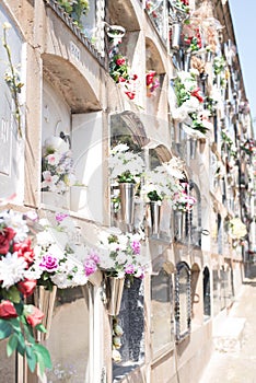 Flowers at the cemetery of Horta, Barcelona photo