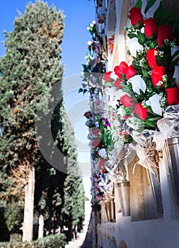 Flowers in the cemetery near the wall with the burial
