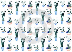 Flowers in Ceramic Pots Botanical Seamless Pattern