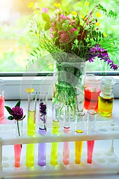 Flowers in chemical test tubes. summer mood in the chemical laboratory. research of benefits of plants