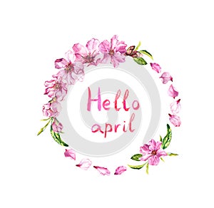 Flowers of cherry tree, spring sakura blossom, apple flowers. Floral wreath, text Hello april . Watercolor circle frame