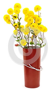 Flowers of chrysanthemum and color cardboard