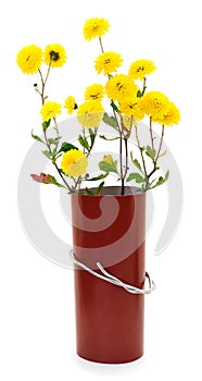 Flowers of chrysanthemum and color cardboard