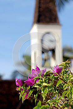Flowers at the Church