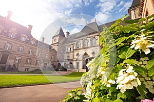 Flowers and Cite Universitaire University in Paris