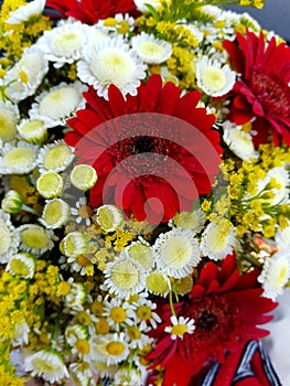 Flowers  closeup photo