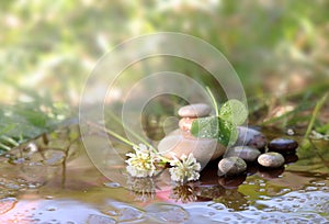 Flowers of a clover and stones for Spa in water