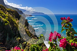 Flowers on coast in Boaventura - Madeira Portugal photo