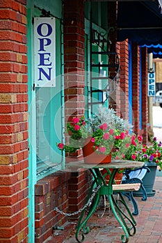 Flowers on Cobblestone walk