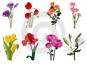 Flowers color icon set, blossom symbols collection, vector sketches, logo illustrations, floral signs realistic flat