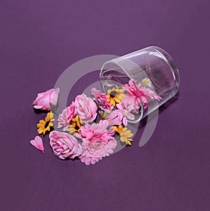 flowers come out from a glass. Creative concept photography in studio.