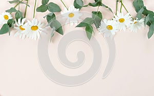 Flowers composition background. bouquet of flowers camomiles on pale beige background.
