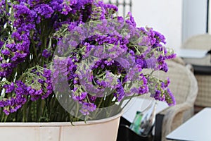 The purple flowers photo