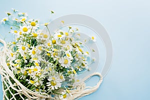Flowers composition. Chamomile bouquet on blue background. Spring  summer concept.