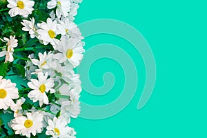 Flowers composition with Chrysanthemum bouquet on green background