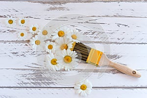 Flowers composition. Creative layout made of white cammomile flowers and paint brush on pastel background. Flat lay, top view,