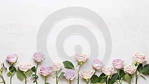 Flowers composition. Frame made of pink rose on gray background. Flat lay, top view, copy space