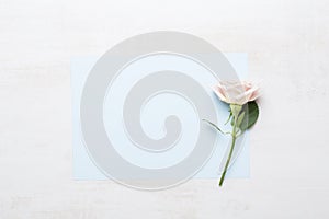 Flowers composition. Frame made of pink rose on gray background. Flat lay, top view, copy space