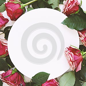 Flowers composition. Frame made of rose flowers on white background.