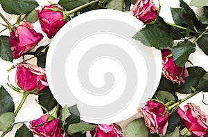 Flowers composition. Frame made of rose flowers on white background. Flat lay, top view, copy space.
