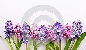 Flowers composition with lilac and pink hyacinths