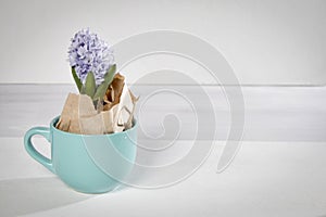 Flowers composition with lilac and white hyacinths wrapped in kraft paper in mug . Spring flowers on white background. Easter conc