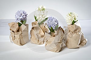 The Flowers composition with lilac and white hyacinths wrapped in kraft paper . Spring flowers on white background. Easter concept