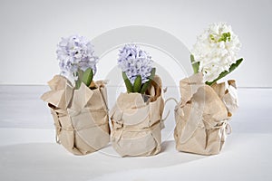 The Flowers composition with lilac and white hyacinths wrapped in kraft paper . Spring flowers on white background. Easter concept