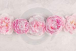 Flowers composition made of pink peony flowers on white background. Flat lay. Vintage or instagram toning