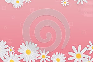 Flowers composition.Pink flowers on pink background.Modern style. Flat lay style. top view. copy space