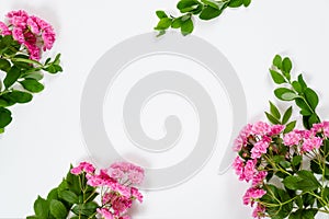 Flowers composition. Pink roses flowers on white background. Anniversary concept, hero banner mockup with copy space. Flat lay, photo