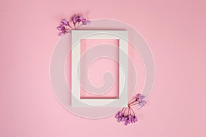 Flowers composition. Purple flowers and photo frame on pastel pink background