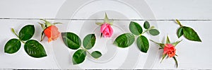 Flowers composition. Red roses on a white wooden background. Fla