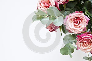 Flowers composition. Roses flowers and branch eucalyptus on white background. Top view, copy space.
