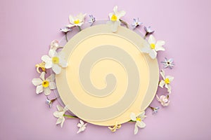 Flowers composition. Spring blue flowers on purple background. Yellow frame
