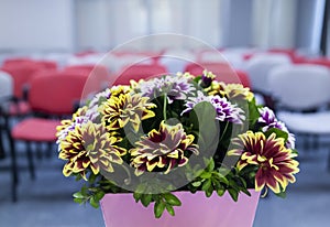 Flowers composition on table in empty conference room, office