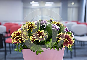 Flowers composition on table in empty conference room, office