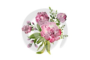 Flowers in composition, top view, isolated on white background. Peonies.