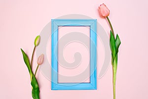 Flowers composition. tulip flowers with blue photo frame on pink background. Flat lay, top view, copy space