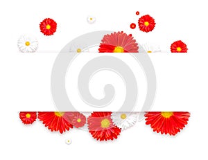 Flowers composition. Wreath made of various red flowers on white background. Flat lay, top view.