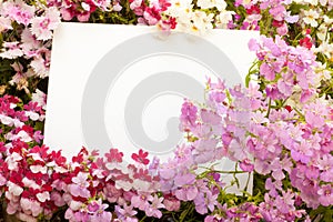 Flowers and Copyspace