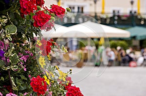 Flowers in courtyard scene