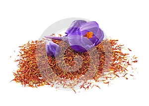 Flowers of crocus and dried saffron spice isolated on white background. Crocus sativus