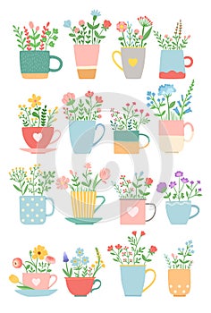 Flowers in cup summer spring set vector