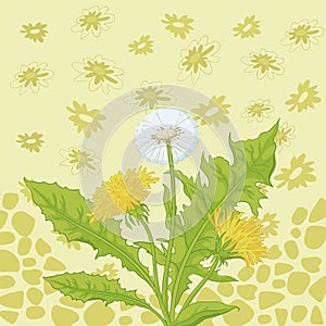 Flowers dandelion and abstract pattern