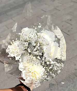 Flowers of the day. Making my day happier