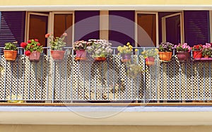 Flowers decoration on blue balcony, dfferent kind of flowers, Spain