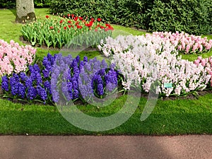 Flowers decoration in the park